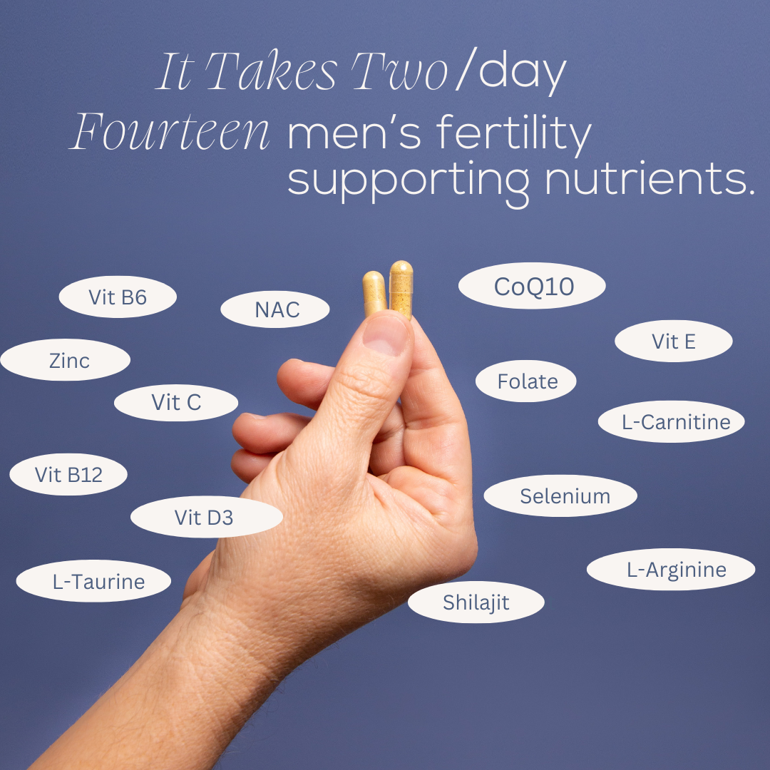 2 capsules a day, 14 nutrients, including Vitamins B6, B12, D3, E, CoQ10, L-Carnitine, Folate, and more.